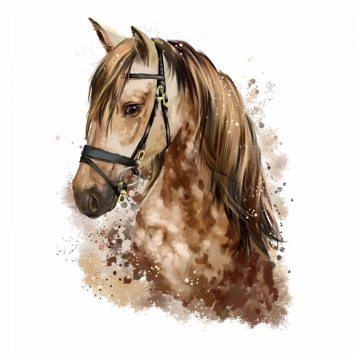 Nikima 085 wandtattoo pferd - 085,