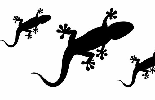 Wandtattoo wandaufkleber gecko - wandaufkleber,