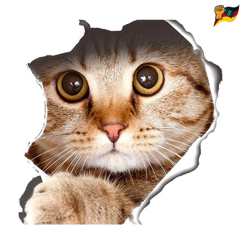 Katzen hund wandaufkleber - katzen,